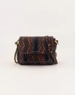 Shop Sessùn Niu mimita Choconuts