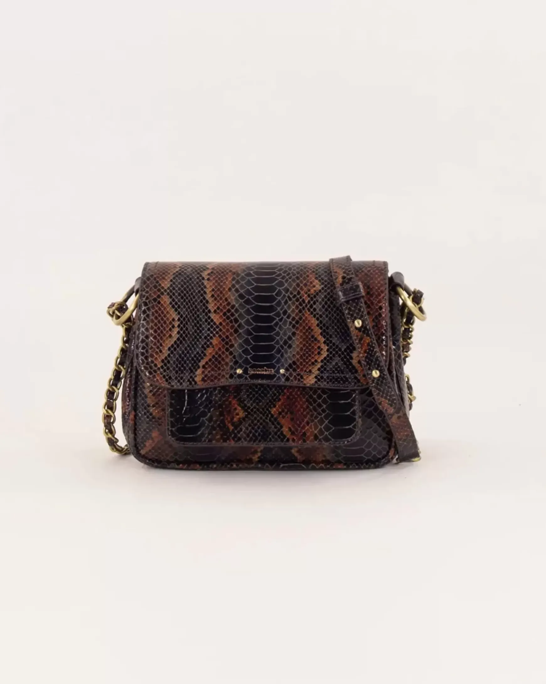 Shop Sessùn Niu mimita Choconuts