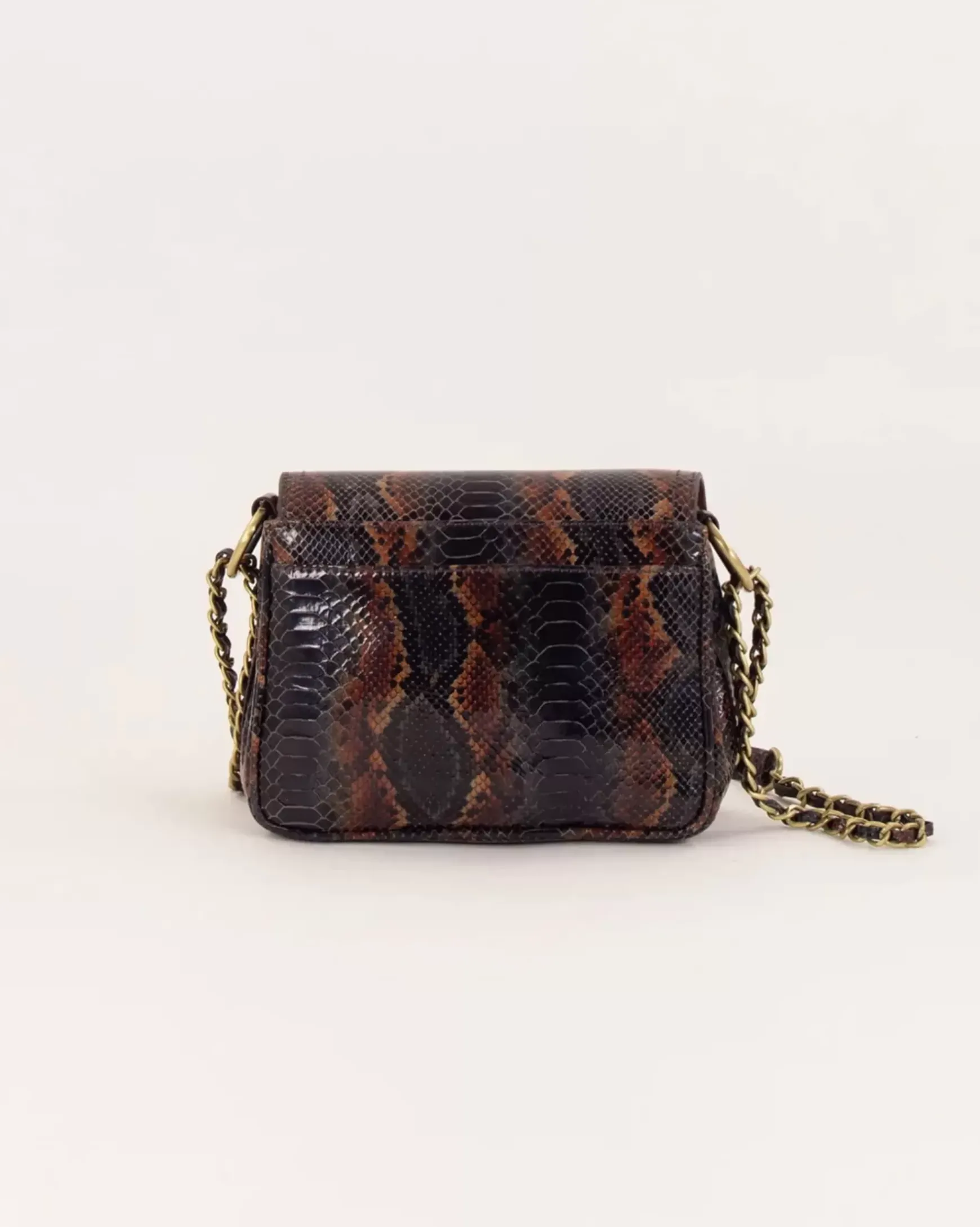 Shop Sessùn Niu mimita Choconuts